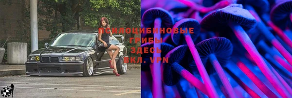 шишки Алзамай