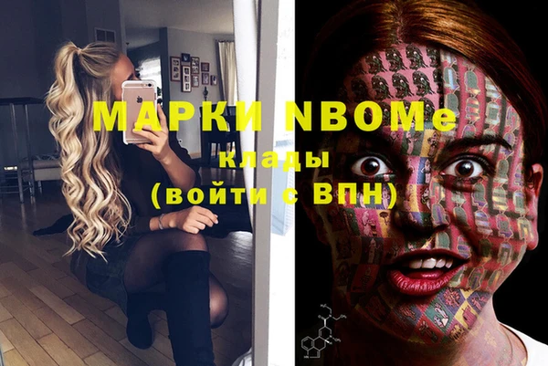 шишки Алзамай