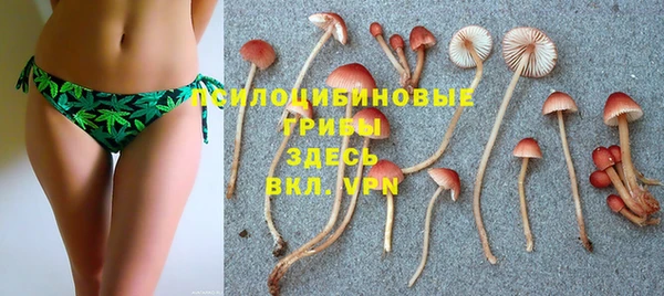 шишки Алзамай