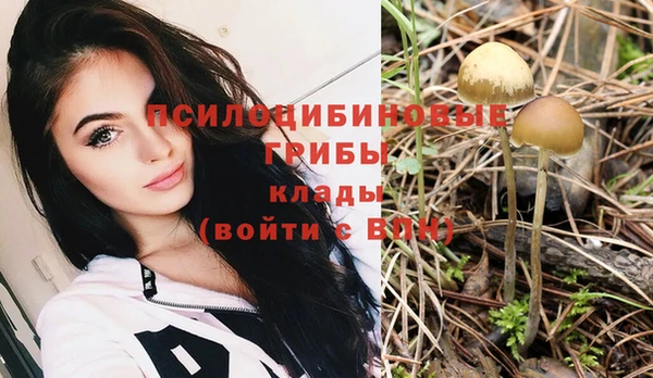 шишки Алзамай