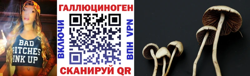 Псилоцибиновые грибы Psilocybine cubensis  ссылка на мегу ССЫЛКА  маркетплейс клад  Арамиль 
